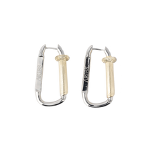 Load image into Gallery viewer, Aries Mini Column Carabiner Earrings
