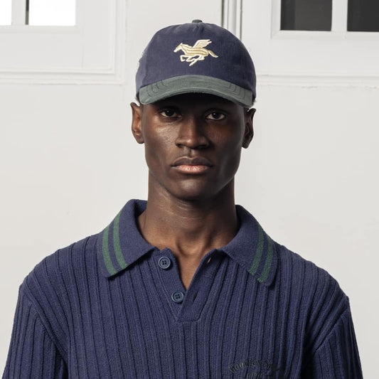 Goodies Sportive 3D Pegasus Washed Cap