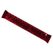 Load image into Gallery viewer, Aries J&#39;adoro Aries Leopard Scarf Scarf Red
