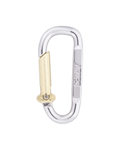 Load image into Gallery viewer, Aries Mini Carabiner Chain Necklace
