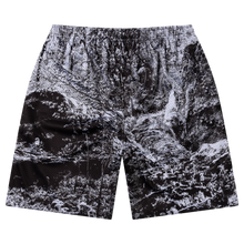 Load image into Gallery viewer, No Problemo Bigfoot Airtex Boardshort Multi
