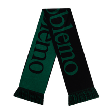 Load image into Gallery viewer, No Problemo Scarf Green
