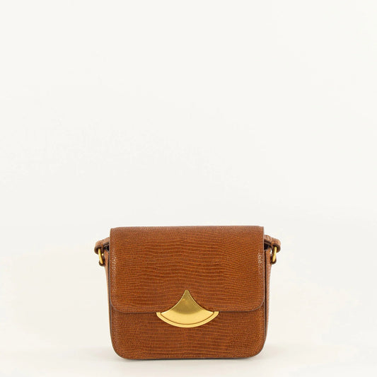 Sessun Diviluz mimo Toffee Lezard