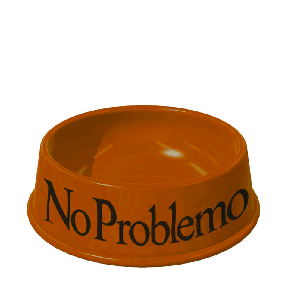 No Problemo Pet Bowl Orange
